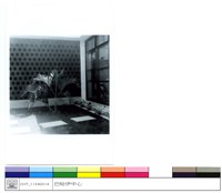 藏品((無圖名))的圖片