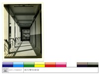 藏品((無圖名))的圖片