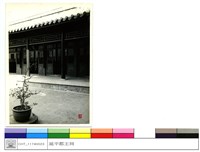 藏品((無圖名))的圖片