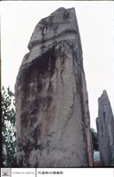 藏品(石柱)的圖片