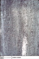 藏品(特寫)的圖片