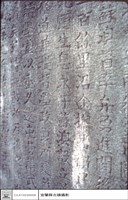 藏品(特寫)的圖片