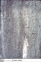 藏品(特寫)的圖片