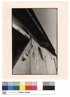 藏品(屋外一角)的圖片