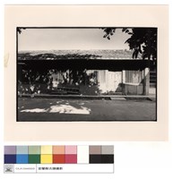 藏品(外觀)的圖片