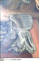 藏品(雀提)的圖片