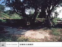 藏品(後側)的圖片