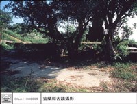 藏品(後側)的圖片