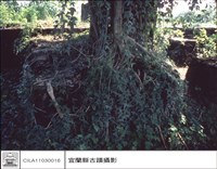 藏品(砲位中之牆)的圖片