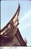 藏品(燕尾)的圖片