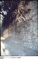 藏品(舊城牆)的圖片