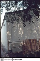 藏品(碑林)的圖片