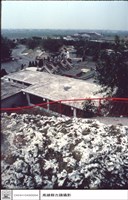 藏品(鳥視屋頂)的圖片