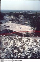 藏品(鳥視屋頂)的圖片