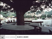 藏品(近全景)的圖片