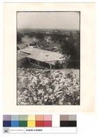 藏品(鳥觀屋頂)的圖片