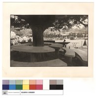 藏品(正面全景)的圖片