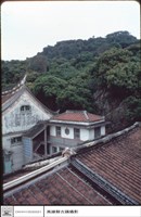 藏品(左側觀)的圖片