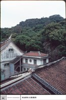 藏品(左側觀)的圖片
