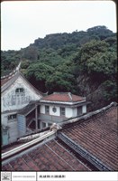 藏品(左側觀)的圖片