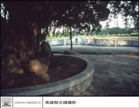 藏品(正觀)的圖片