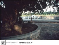 藏品(正觀)的圖片