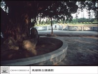 藏品(正觀)的圖片