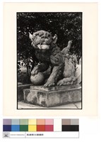 藏品(石獅)的圖片