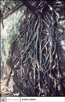 藏品(左側牆)的圖片