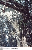 藏品(樓梯及牆)的圖片