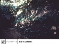 藏品(正面)的圖片