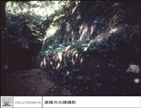 藏品(正面)的圖片