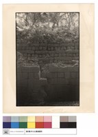 藏品(側牆)的圖片