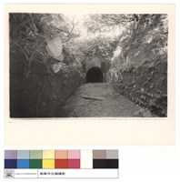 藏品(正面)的圖片