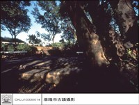 藏品(炮位)的圖片