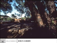 藏品(炮位)的圖片