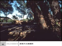 藏品(炮位)的圖片
