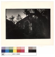 藏品(右側面)的圖片