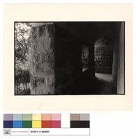 藏品(右側內部)的圖片