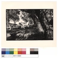 藏品(炮位)的圖片