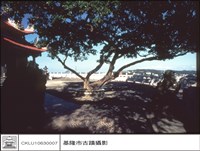 藏品(石獅)的圖片