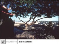 藏品(石獅)的圖片