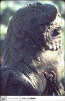 藏品(石獅(頭部))的圖片