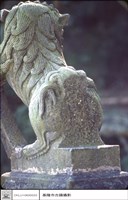 藏品(石獅(後))的圖片