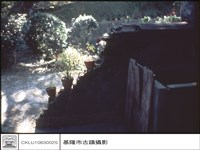 藏品(左邊牆)的圖片