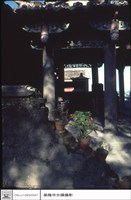 藏品(左面牆)的圖片