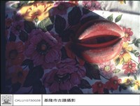 藏品(筊杯)的圖片