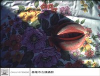 藏品(筊杯)的圖片