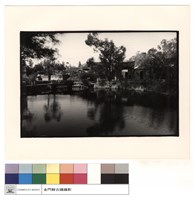 藏品(正面)的圖片