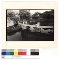 藏品(正面)的圖片